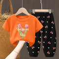 Girls Summer T-Shirt & Pants Set – 2PCS Toddler Outfit